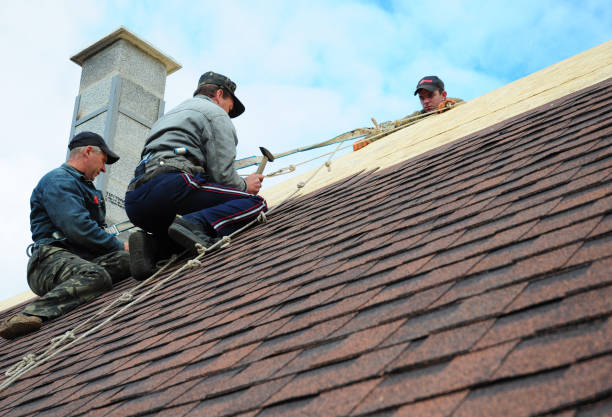 Best Roof Leak Repair  in Uhrichsville, OH